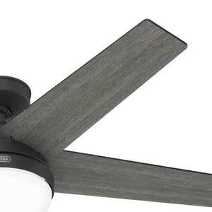 Hunter Ventilador de Techo con Luz 52", Modelo Rivershore