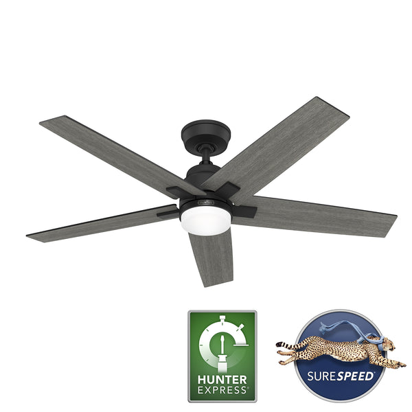 Hunter Ventilador de Techo 52", Modelo Rapidan