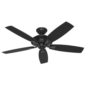 Hunter Ventilador de Techo 52", Modelo Rainsford