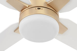 Coolfan Ventilador de Techo de 50" con Luz LED y 4 Aspas de Madera Reversibles con Control Remoto, Modelo Feria 51102-CCT - LuzDeco